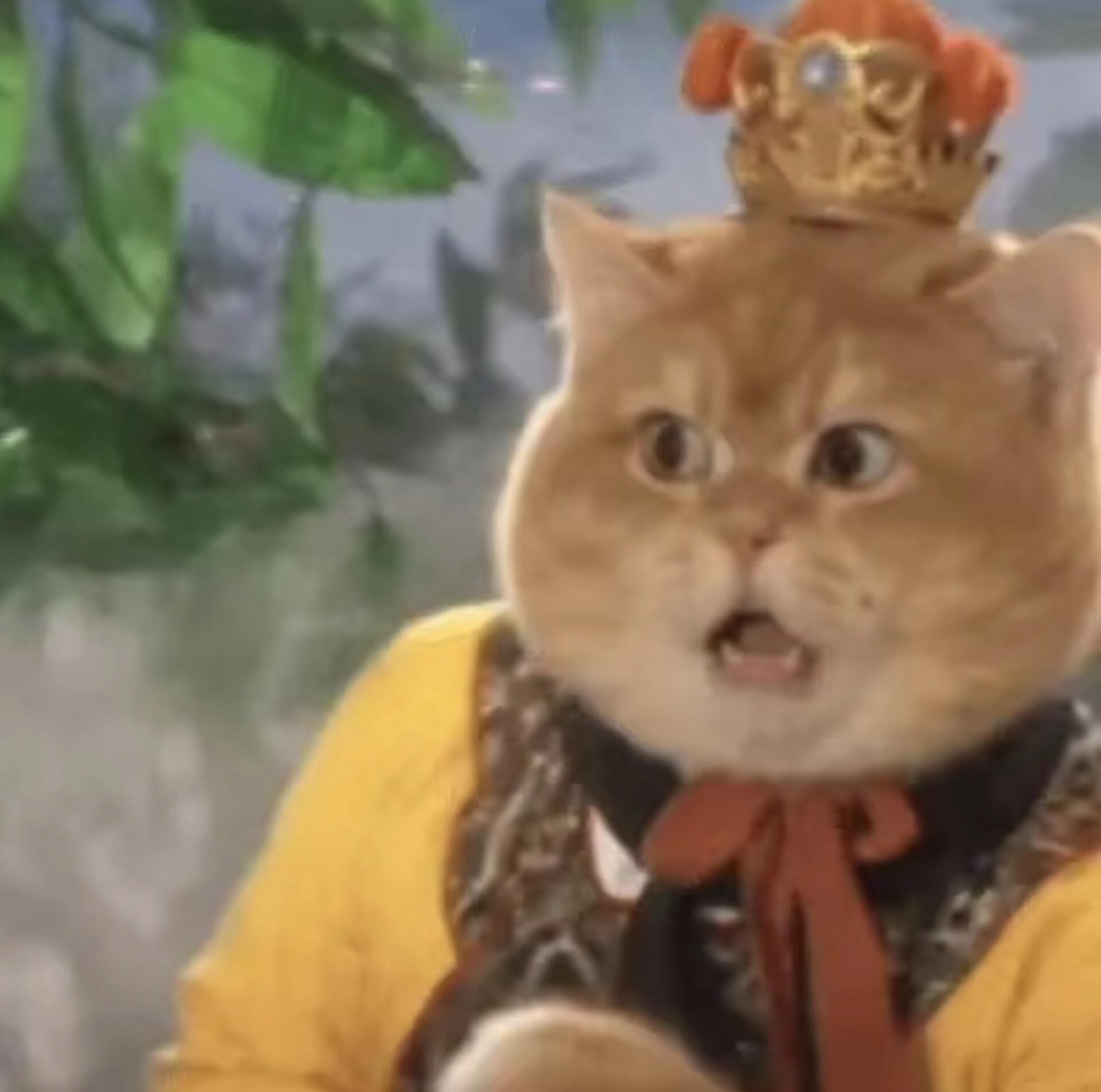 西游猫系列头像！超搞笑又好玩的猫猫头像